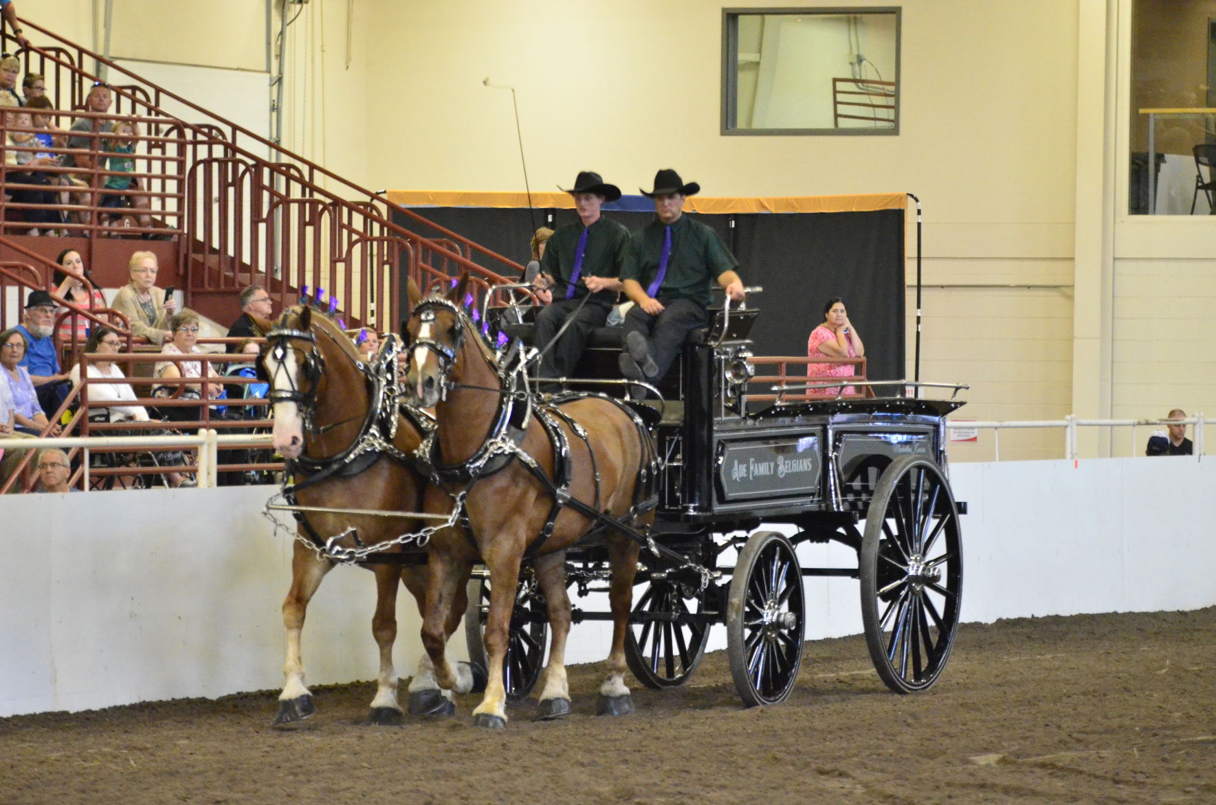 8-25-19 Draft Horse Hitch Final (50).JPG